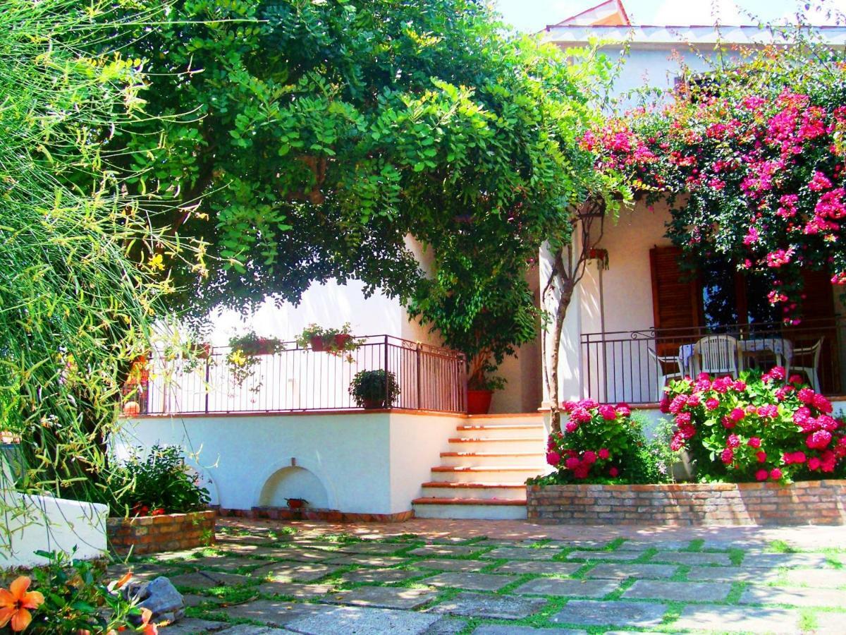B&B La Casa Del Gelso Acquafredda Exterior foto