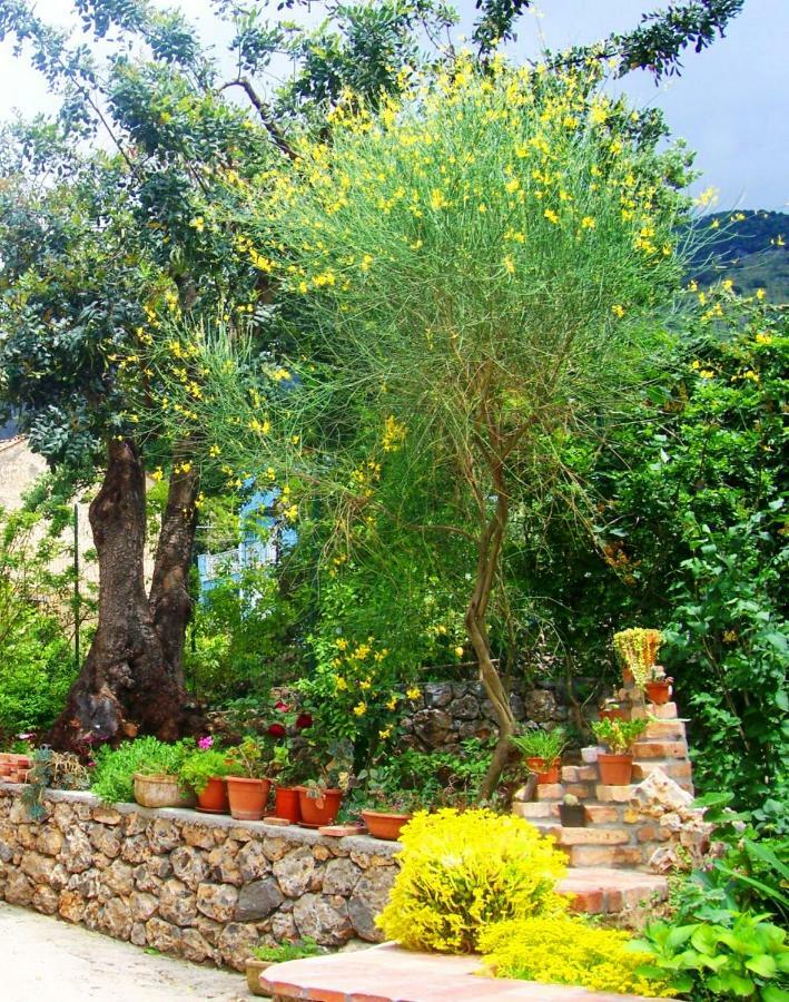 B&B La Casa Del Gelso Acquafredda Exterior foto