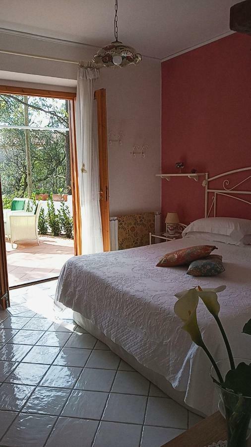 B&B La Casa Del Gelso Acquafredda Exterior foto