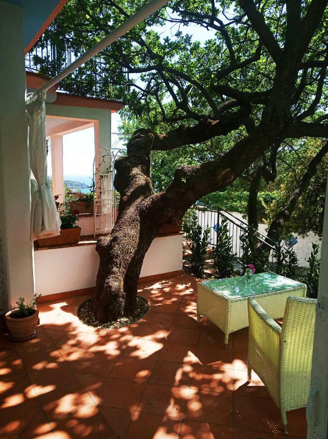 B&B La Casa Del Gelso Acquafredda Exterior foto